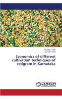 Economics of different cultivation techniques of redgram in Karnataka