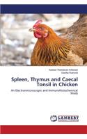 Spleen, Thymus and Caecal Tonsil in Chicken