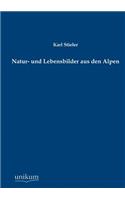 Natur- Und Lebensbilder Aus Den Alpen