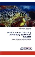 Marine Turtles on Sandy and Rocky Beaches of Pakistan