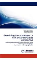 Examining Stock Markets