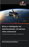 Breve e intelligente nel telerilevamento