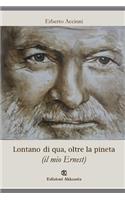 Lontano di qua, oltre la pineta