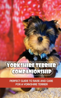 Yorkshire Terrier Companionship