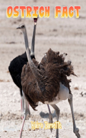 Ostrich Fact: OSTRICH fact for girl age 1-10 OSTRICH fact for boy age 1-10 facts about all about OSTRICH