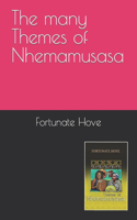 many themes of Nhemamusasa