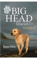 Big Head Diaries, Volume 1