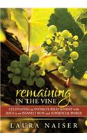 Remaining in the Vine: Cultivating an Intimate Relationship with Jesus in an Insanely Busy and Superficial World