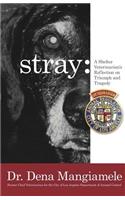 stray - a shelter veterinarian's reflection on triumph and tragedy