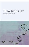 How Birds Fly