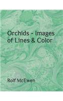 Orchids - Images of Lines & Color