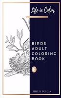 BIRDS ADULT COLORING BOOK (Book 6)