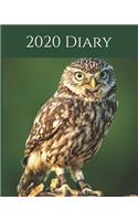 2020 Diary: Wildlife Weekly Planner & Monthly Calendar - Desk Diary, Journal, Owls, Little Owl, England, English Wildlife, Birds, Birdwatching - 8x10"