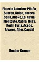 Fluss in Asturien: Piloa, Suarn, Naln, Narcea, Sella, Aboo, EO, Navia, Montouto, Cabra, Ibias, Rodil, Turja, Acebo, Alvares, Aller, Caudal(German)