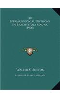 The Spermatogonial Divisions In Brachystola Magna (1900)