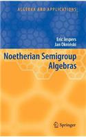 Noetherian Semigroup Algebras