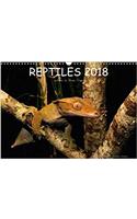 Reptiles / UK-Version 2018