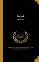 Report; Volume 1919