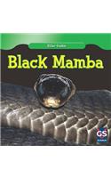 Black Mamba