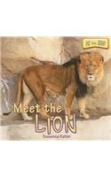 Meet the Lion