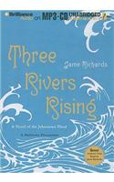 Three Rivers Rising