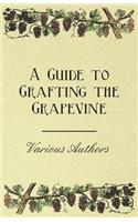 Guide to Grafting the Grapevine