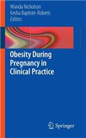 Obesity During Pregnancy in Clinical Practice