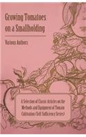 Growing Tomatoes on a Smallholding - A Selection of Classic Articles on the Methods and Equipment of Tomato Cultivation (Self-Sufficiency Series)