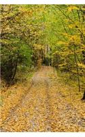 Mind Blowing Autumn Forest Path 200 page lined journal: 200 page lined journal