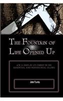 The Fountain of Life Opened Up