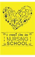 I Can't I'm In Nursing School