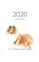 2020 Rough Collie: Dated Weekly Planner With To Do Notes & Dog Quotes - Rough Collie