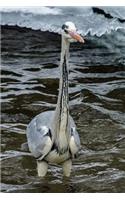 Crane in the Water Bird Journal: 150 Page Lined Notebook/Diary