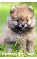 Pomeranian Puppy Journal: 6 X 9 inch dog notebook, college ruled journal, dog lined journal, 200 pages