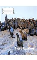 Seals Resting collegeruledlinepaper Composition Book: Seal fans, composition book to keep notes, school suppies, journal used for notes, student and teacher use