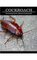 Amazing Facts about Cockroach