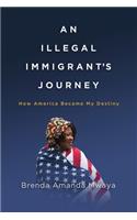 Illegal Immigrant's Journey