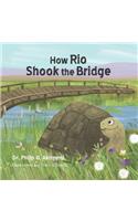 How Rio Shook the Bridge