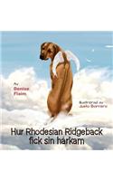 Hur Rhodesian Ridgeback fick sin hårkam