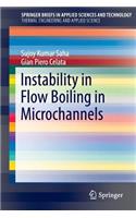 Instability in Flow Boiling in Microchannels