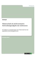 Mutterschaft als nicht-normative Entwicklungsaufgabe der Adoleszenz: Die Kollision von Anforderungen einer Mutterschaft mit den jugendlichen Entwicklungsprozessen