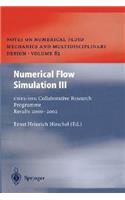 Numerical Flow Simulation III