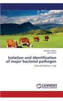 Isolation and identification of major bacterial pathogen