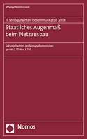 Staatliches Augenmass Beim Netzausbau: 11. Sektorgutachten Telekommunikation (2019)