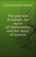 pastures of wonder the realm of mathematics and the realm of science