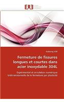 Fermeture de Fissures Longues Et Courtes Dans Acier Inoxydable 304l