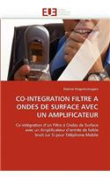 Co-Integration Filtre a Ondes de Surface Avec Un Amplificateur: (Omn.Univ.Europ.)