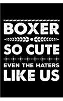 Boxer So Cute Even The Haters Like Us