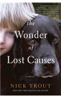 The Wonder of Lost Causes