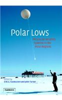 Polar Lows